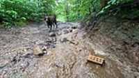 heavy_rain_trail