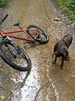 rain_bike_taiga_dirt