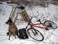 rf24ghz_remote_shutter_bike_dog_snow_canon_pallet