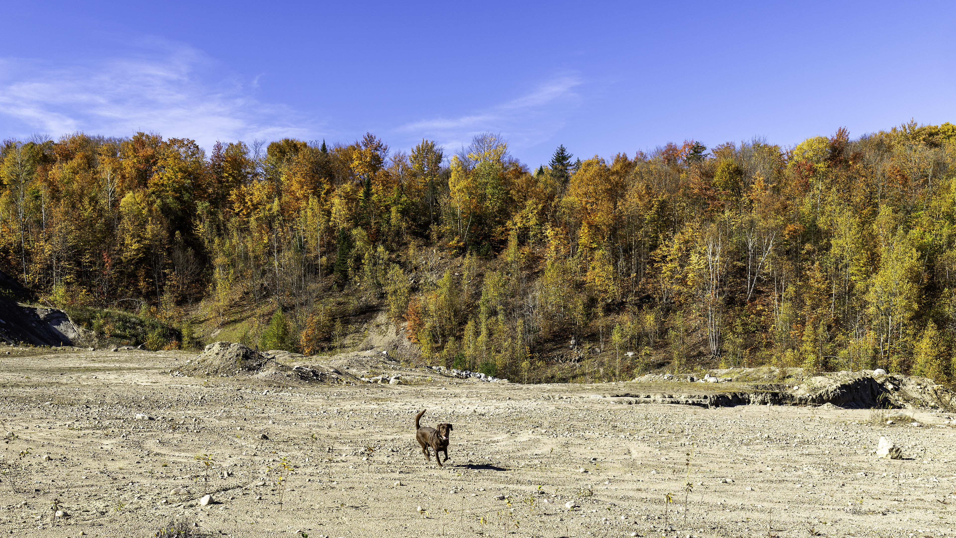 taiga_autumn_quarry