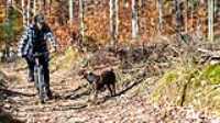 elz_mtb_taiga_forest_trail_lookout