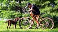 elz_taiga_backyard_dirty_bike_7120_brake