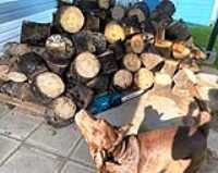 makita_chainsaw_wood_pile_taiga