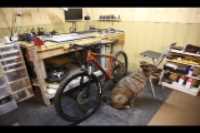 basement_bike_dog