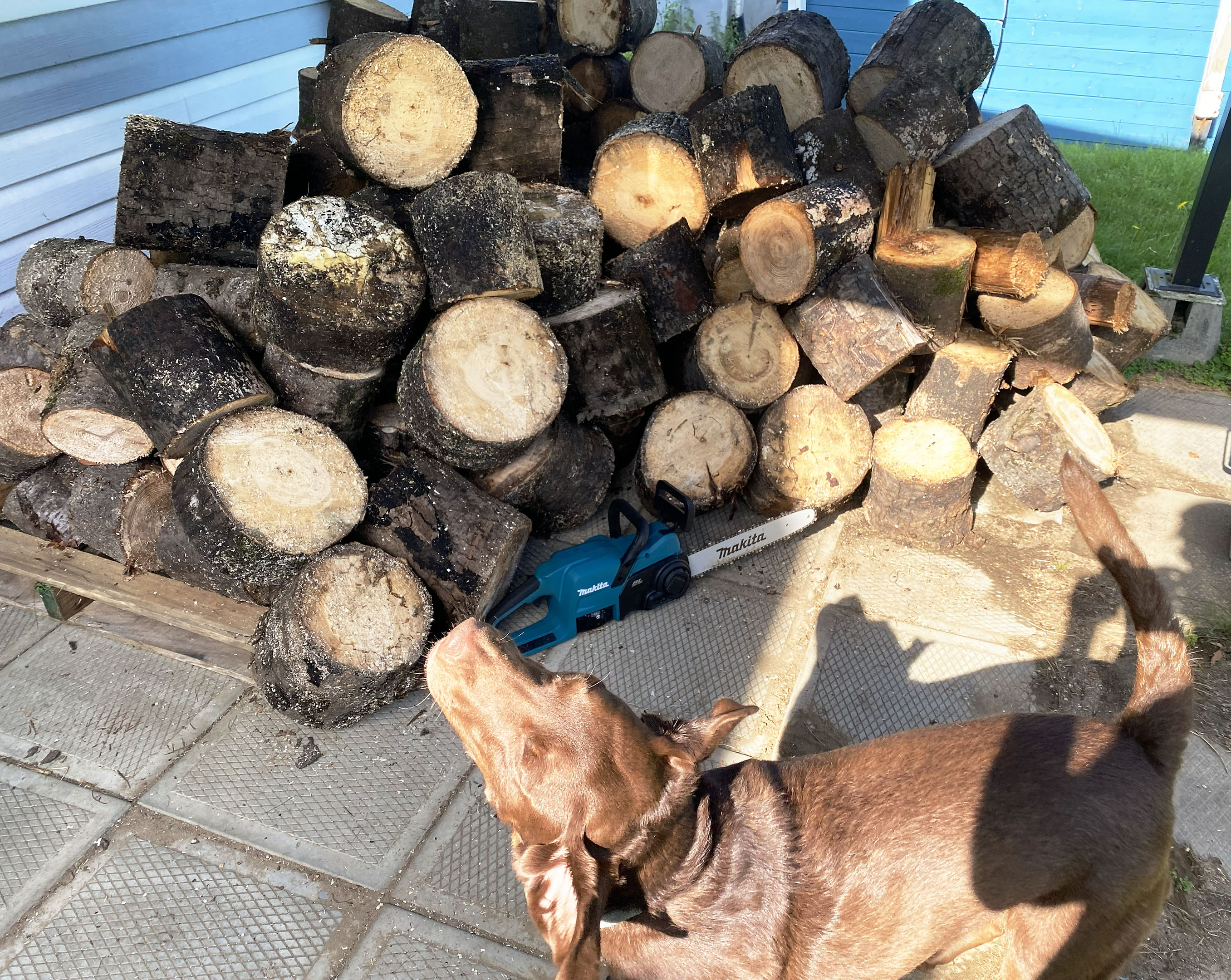 makita_chainsaw_wood_pile_taiga