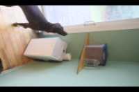 20251023100832_IMG_6993